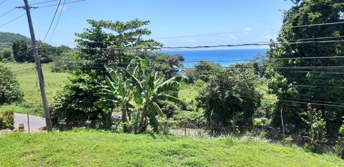 Toga Guest House Port Antonio Exterior photo